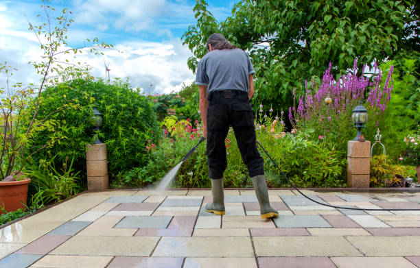 Best Sidewalk and Walkway Pressure Cleaning in Rose Hill, VA